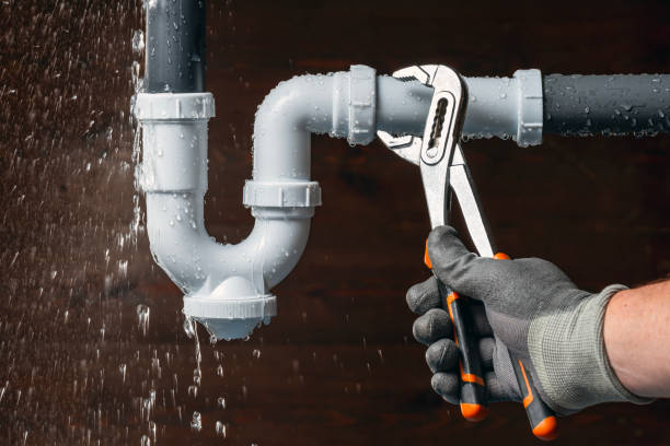 Professional Emergency Plumber technician working in Elkville, IL
